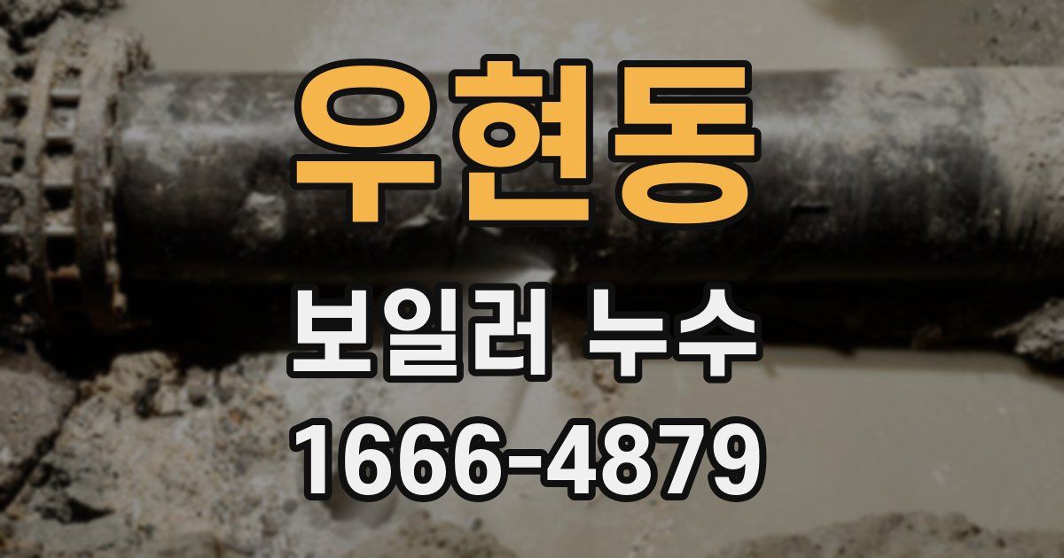 우현동 보일러 누수