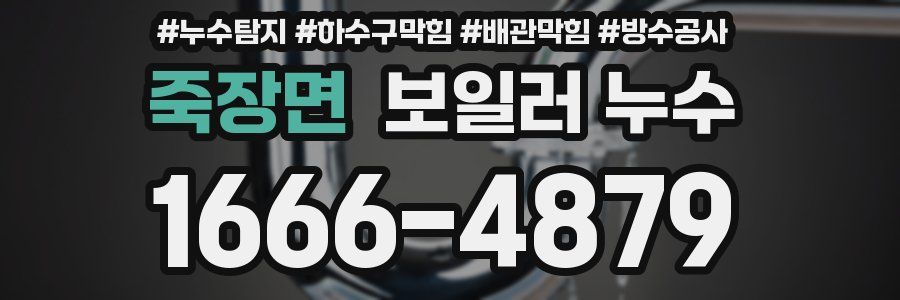죽장면 보일러 누수