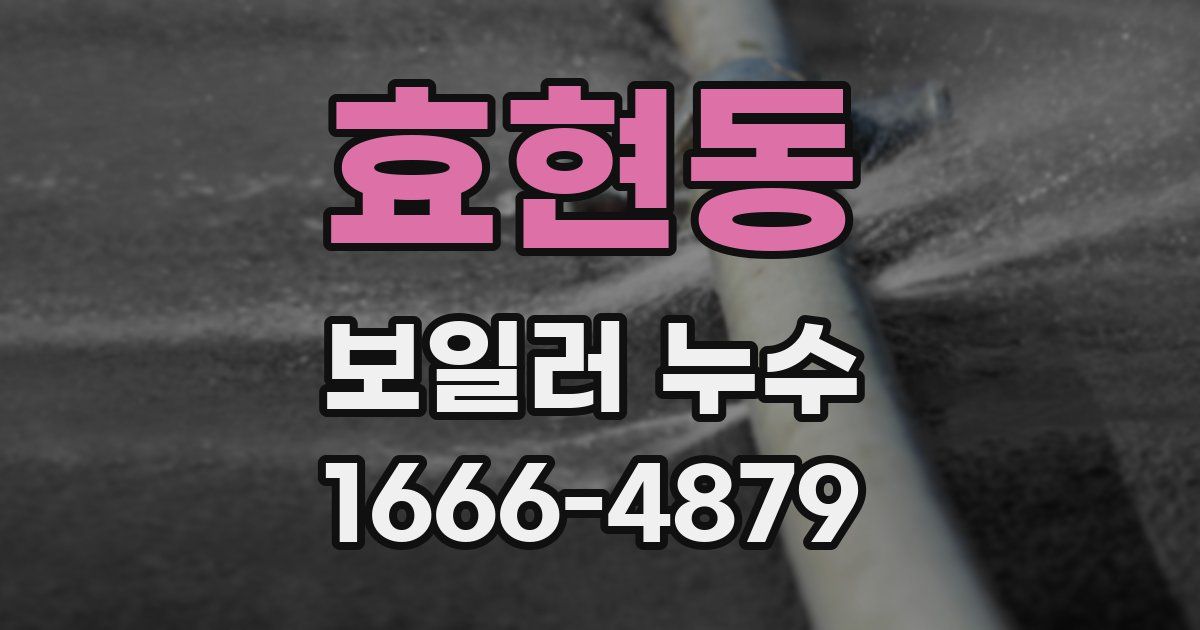 효현동 보일러 누수