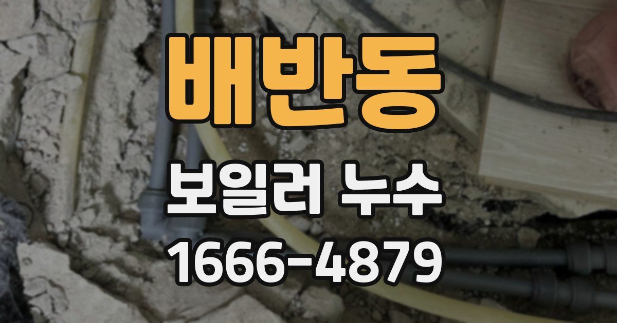 배반동 보일러 누수