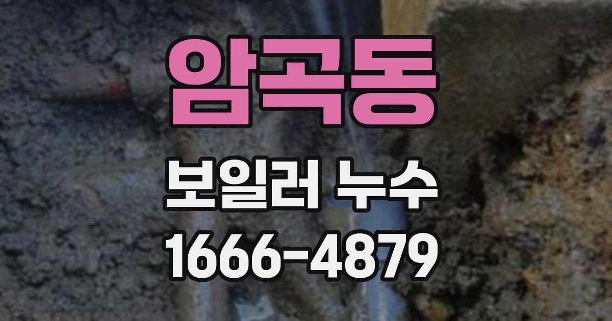 암곡동 보일러 누수