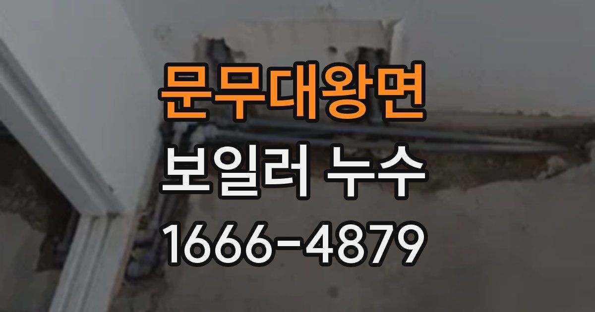 문무대왕면 보일러 누수