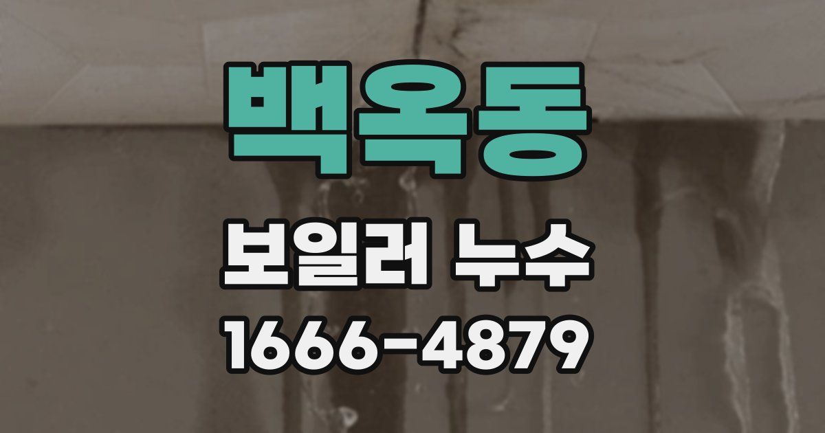백옥동 보일러 누수