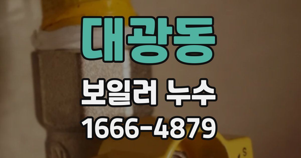 대광동 보일러 누수