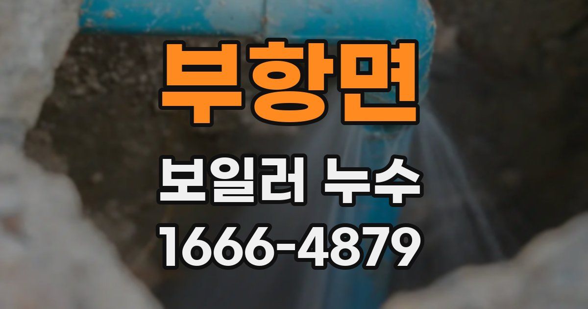 부항면 보일러 누수