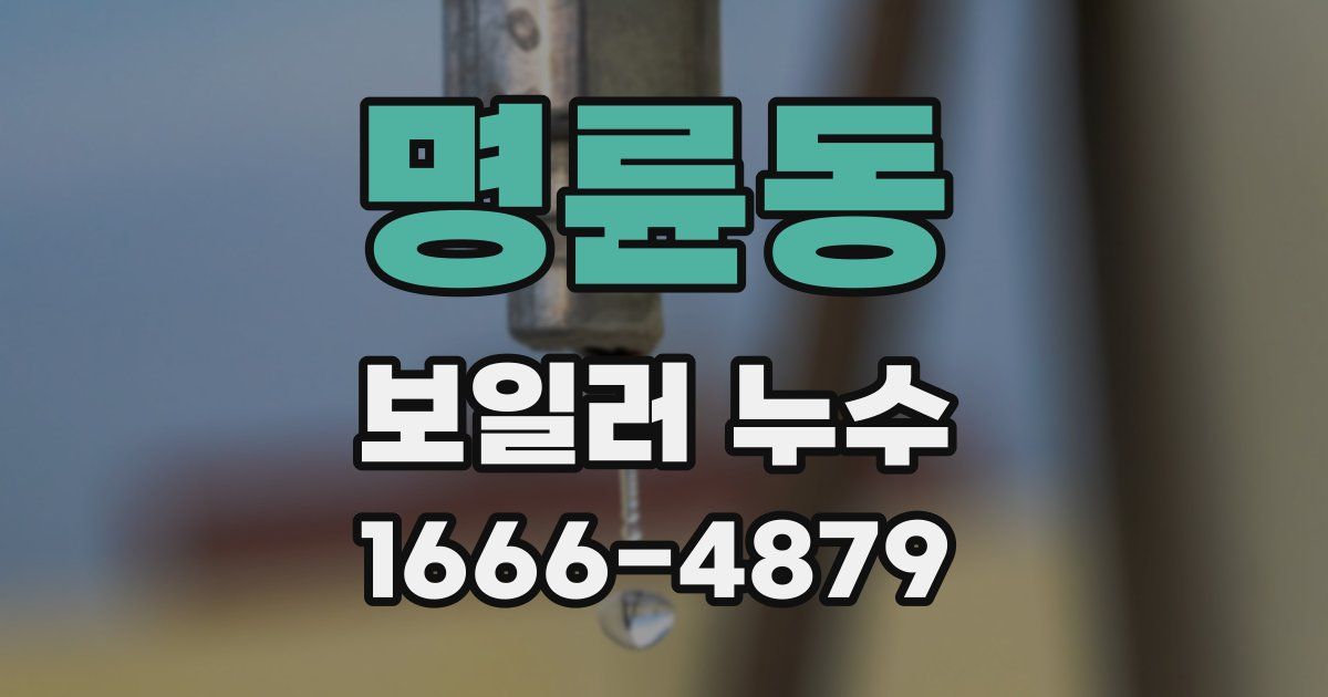 명륜동 보일러 누수