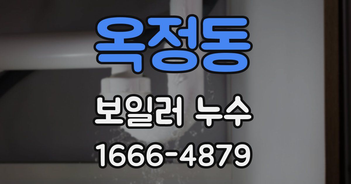 옥정동 보일러 누수