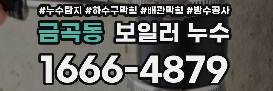 금곡동 보일러 누수