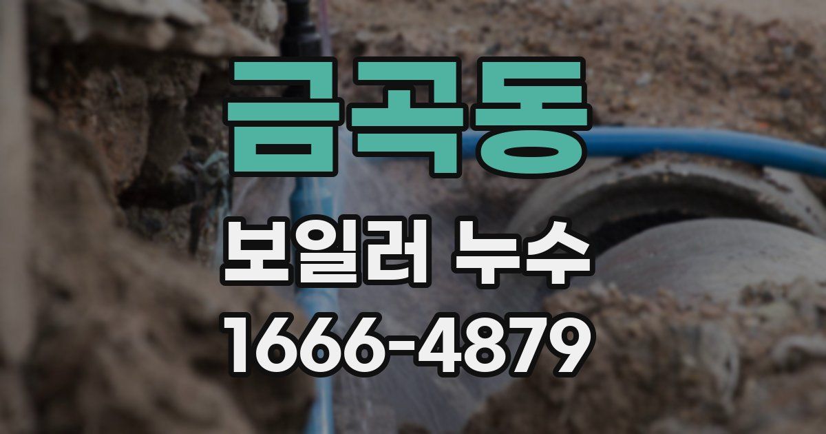 금곡동 보일러 누수