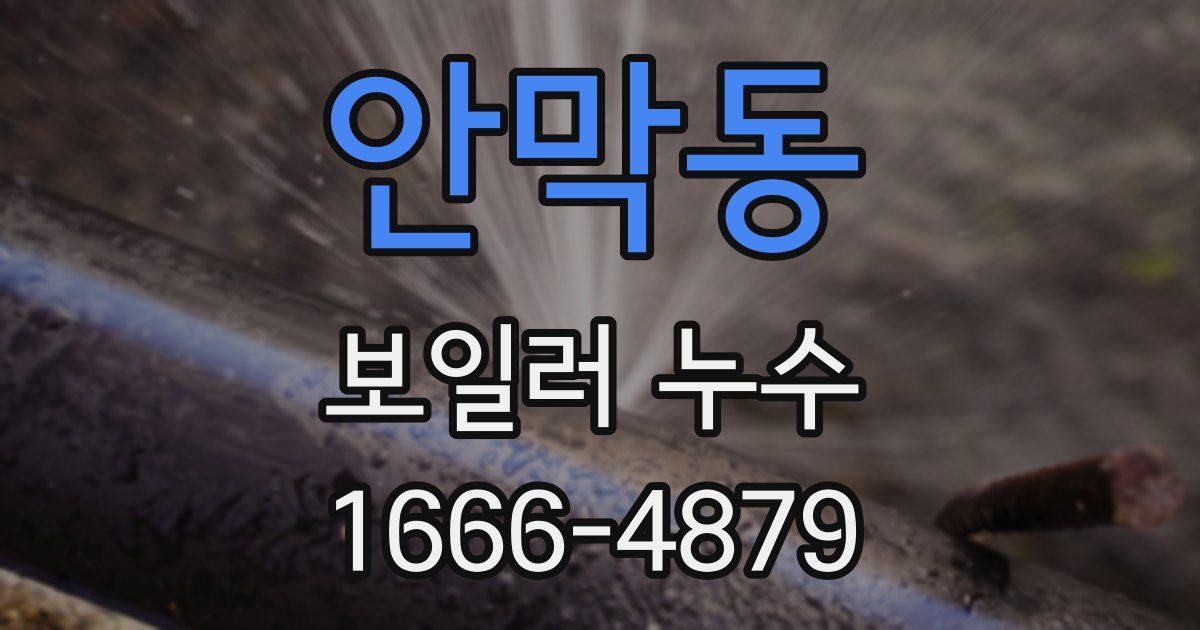 안막동 보일러 누수