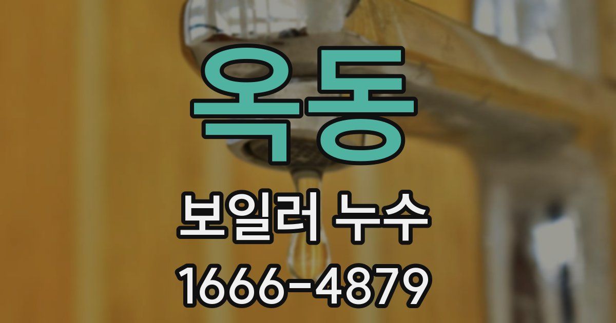 옥동 보일러 누수