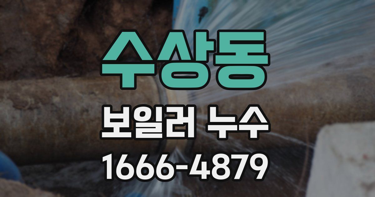 수상동 보일러 누수