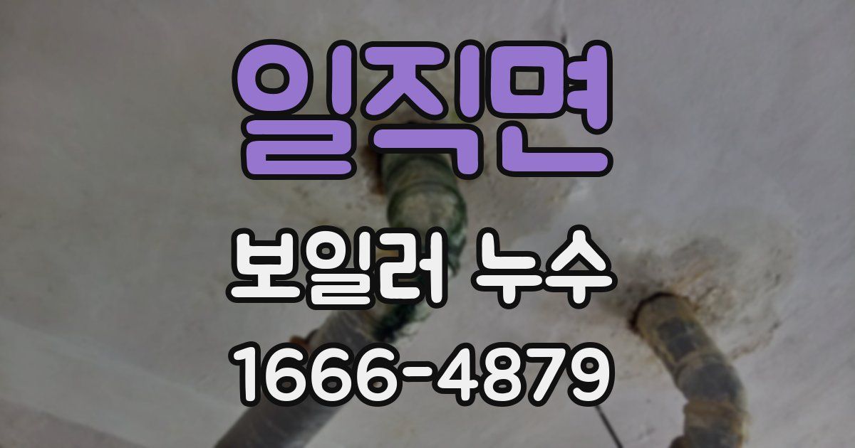 일직면 보일러 누수