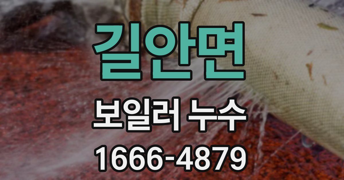 길안면 보일러 누수