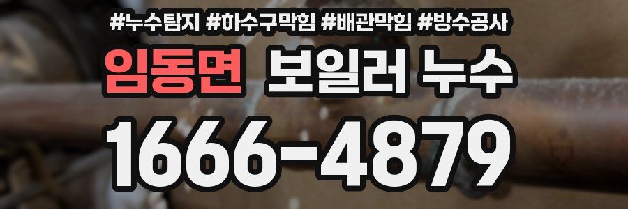 임동면 보일러 누수