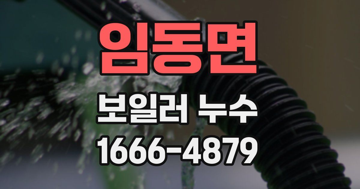 임동면 보일러 누수