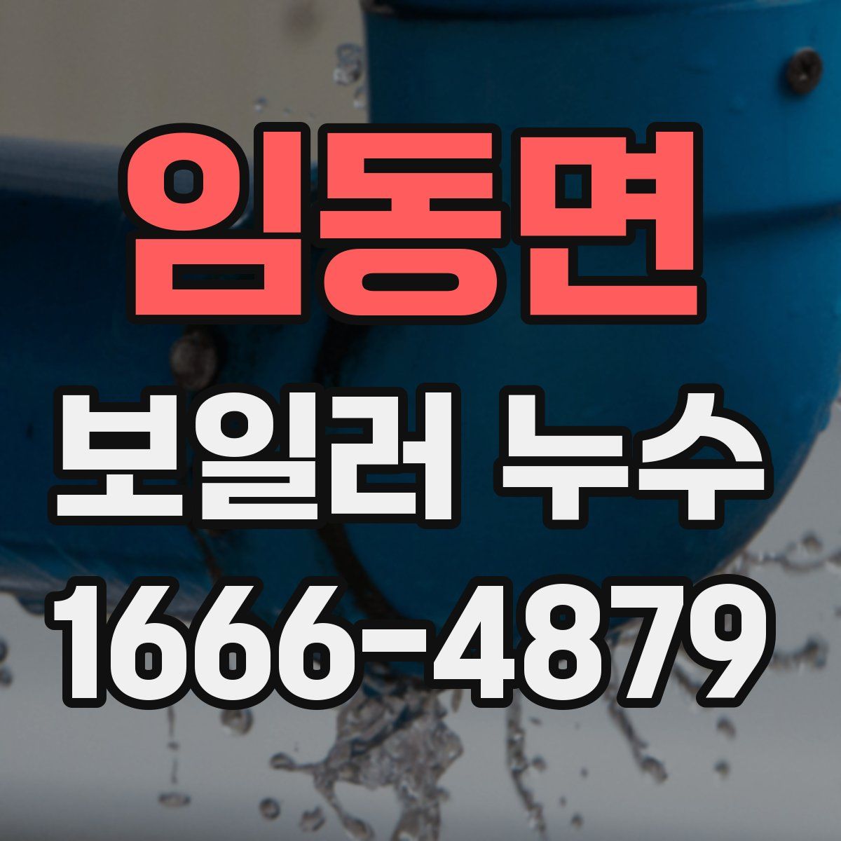 임동면 보일러 누수