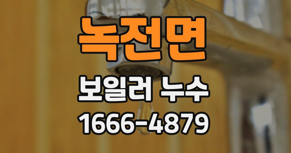 녹전면 보일러 누수