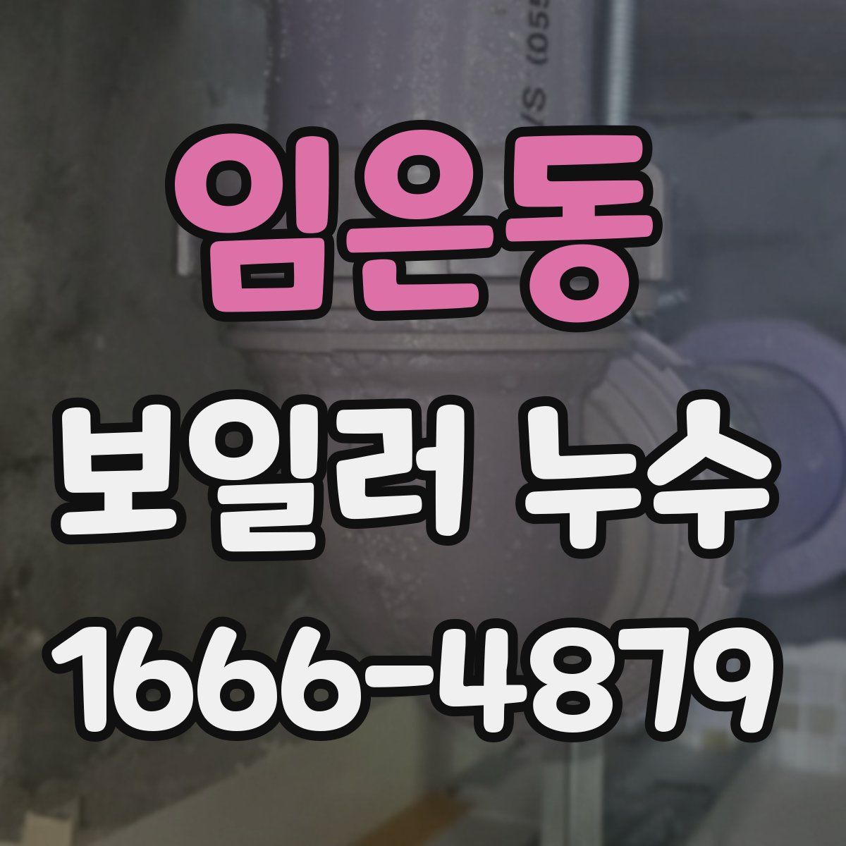 임은동 보일러 누수