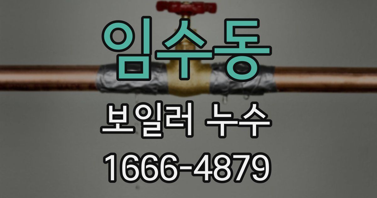임수동 보일러 누수