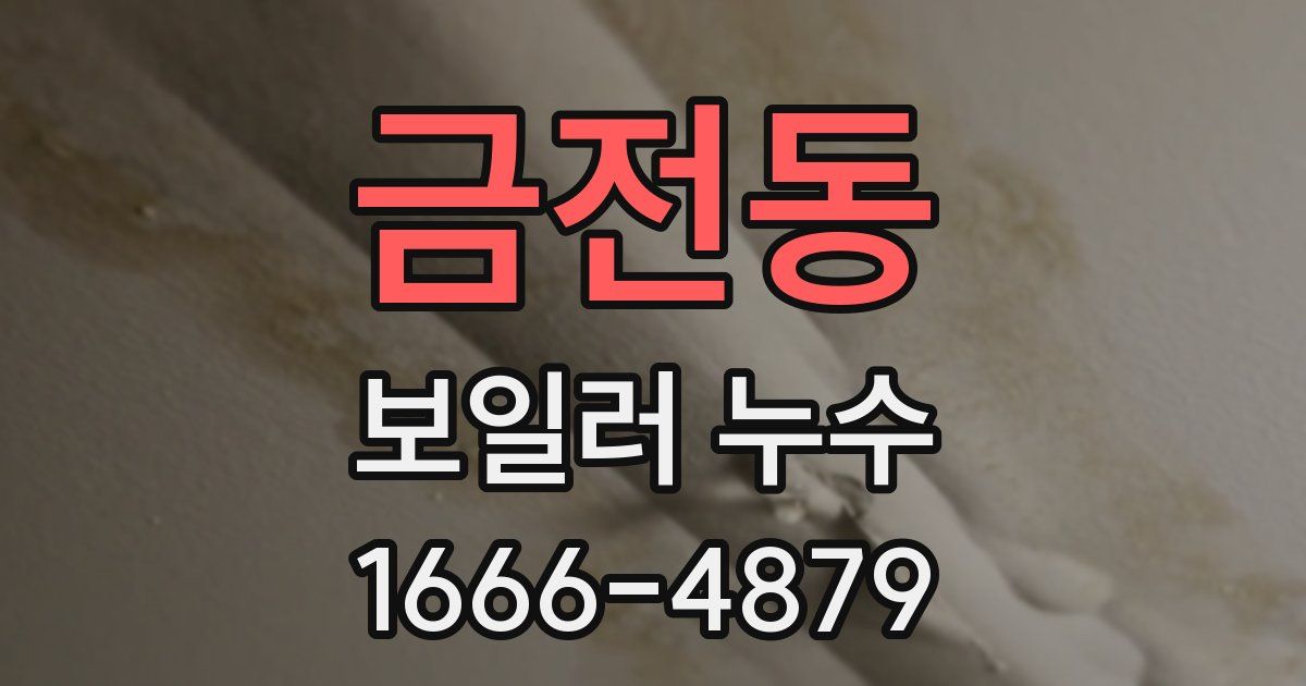 금전동 보일러 누수