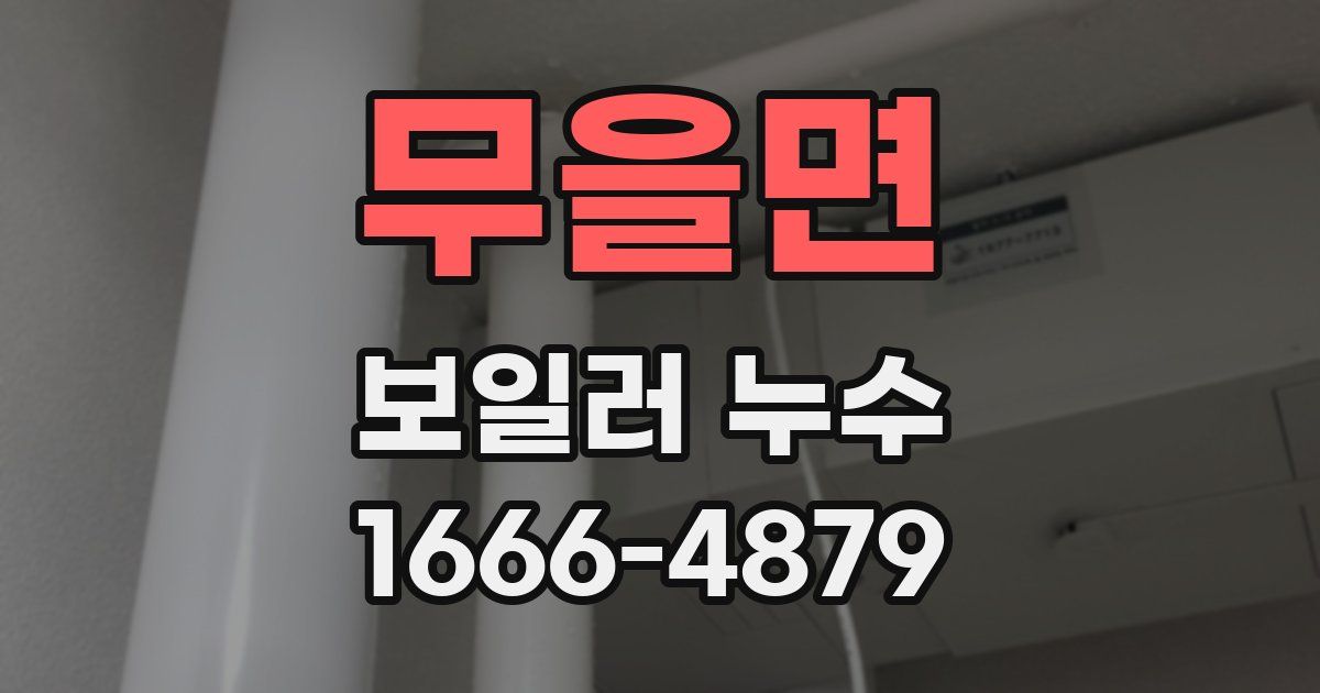 무을면 보일러 누수