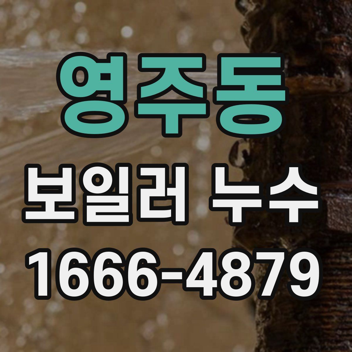 영주동 보일러 누수