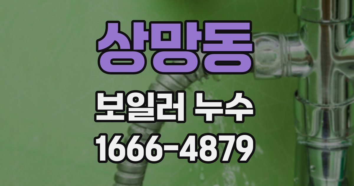 상망동 보일러 누수