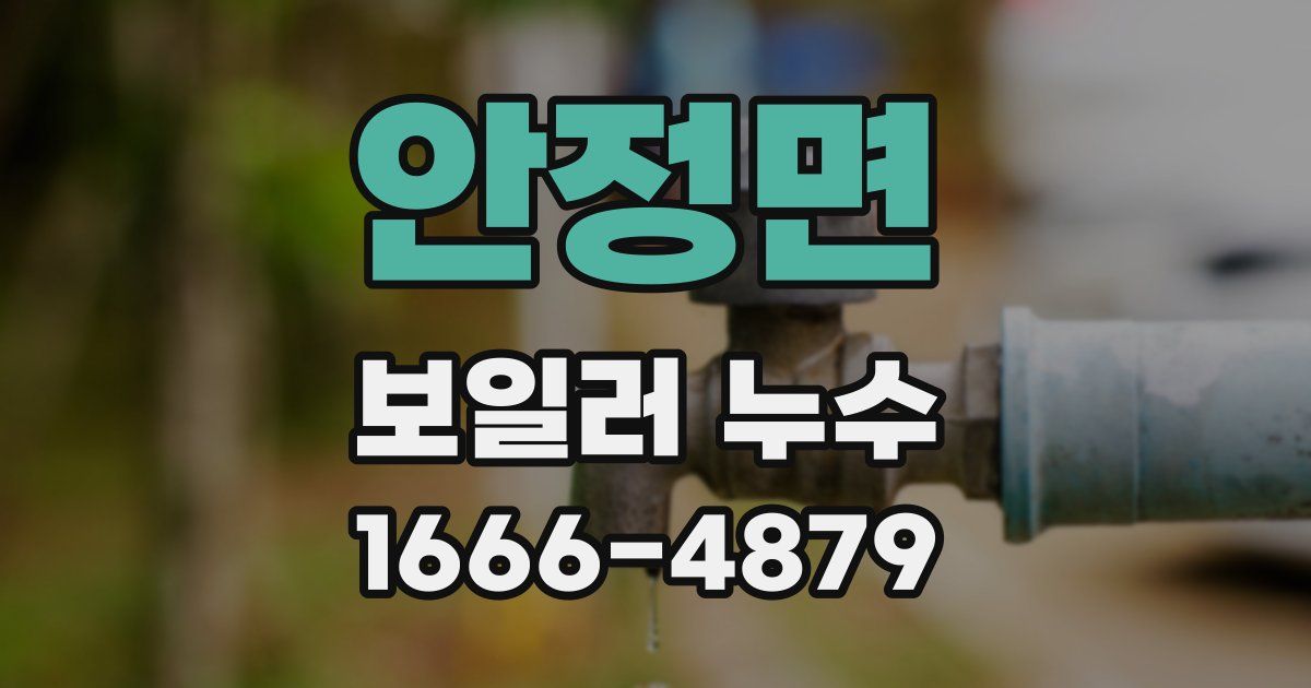 안정면 보일러 누수
