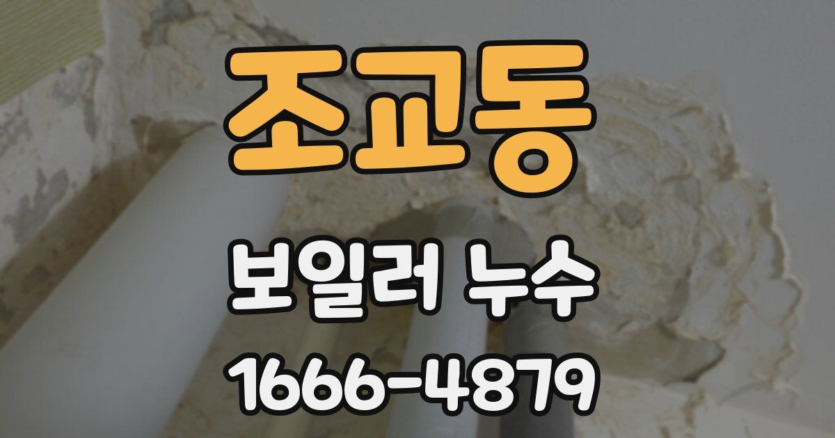 조교동 보일러 누수