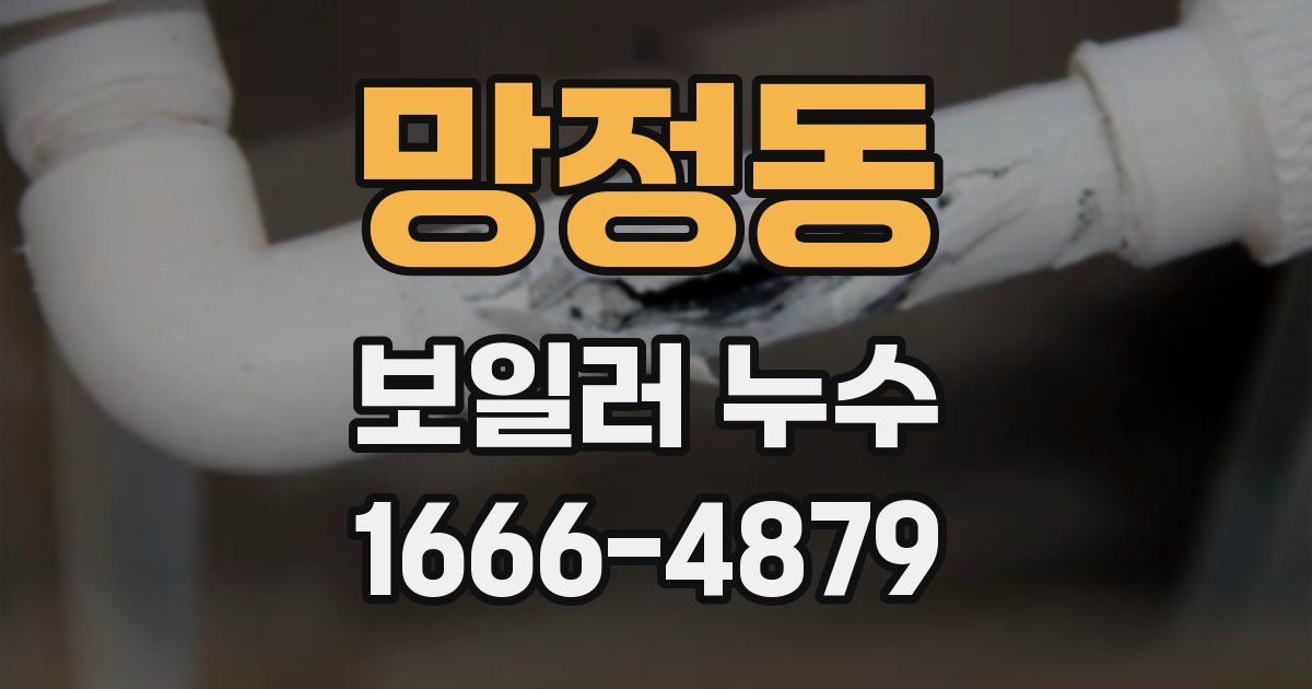 망정동 보일러 누수