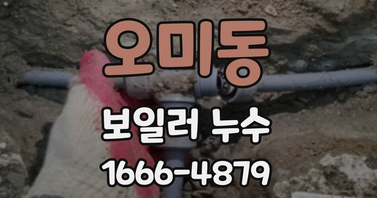 오미동 보일러 누수