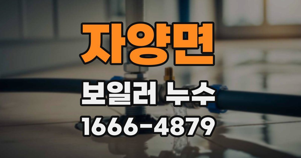 자양면 보일러 누수