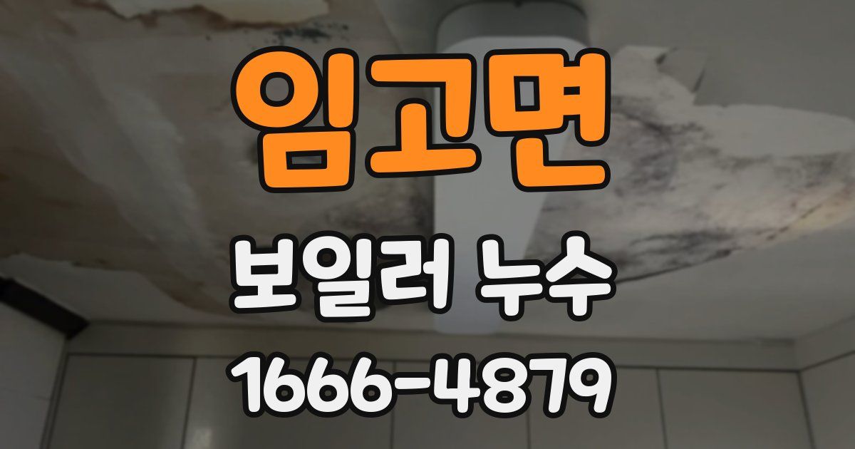 임고면 보일러 누수
