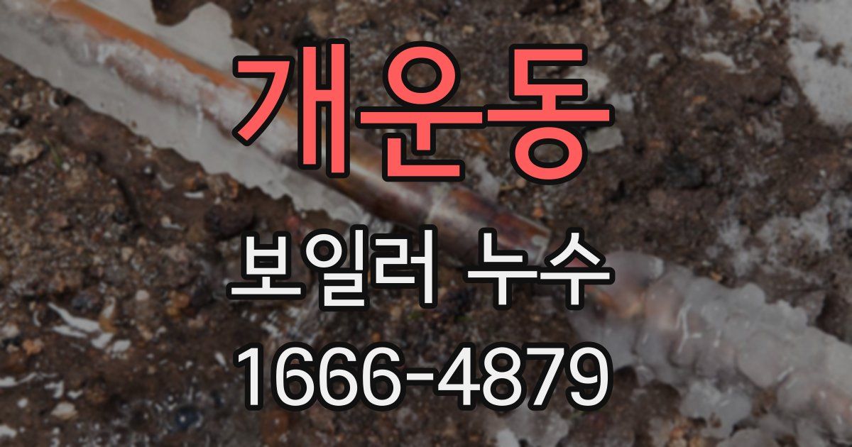개운동 보일러 누수