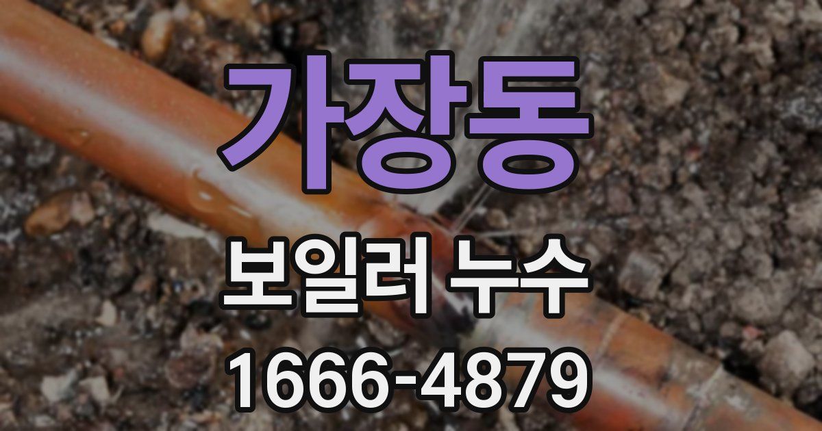 가장동 보일러 누수