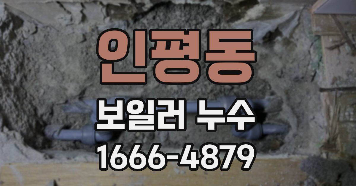 인평동 보일러 누수