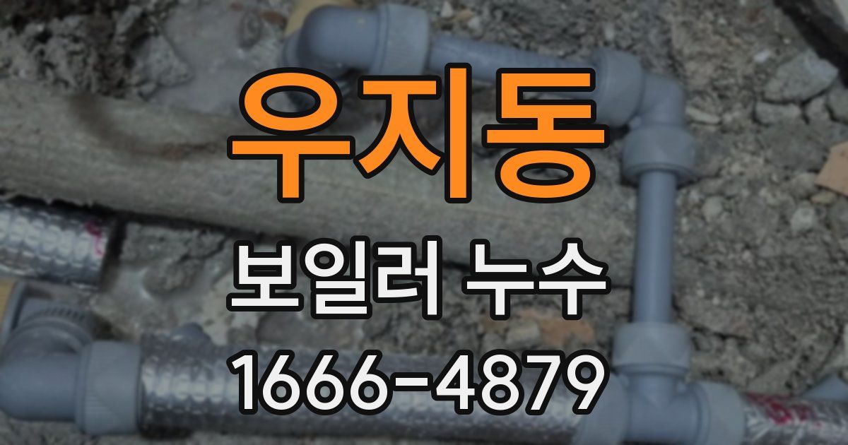 우지동 보일러 누수
