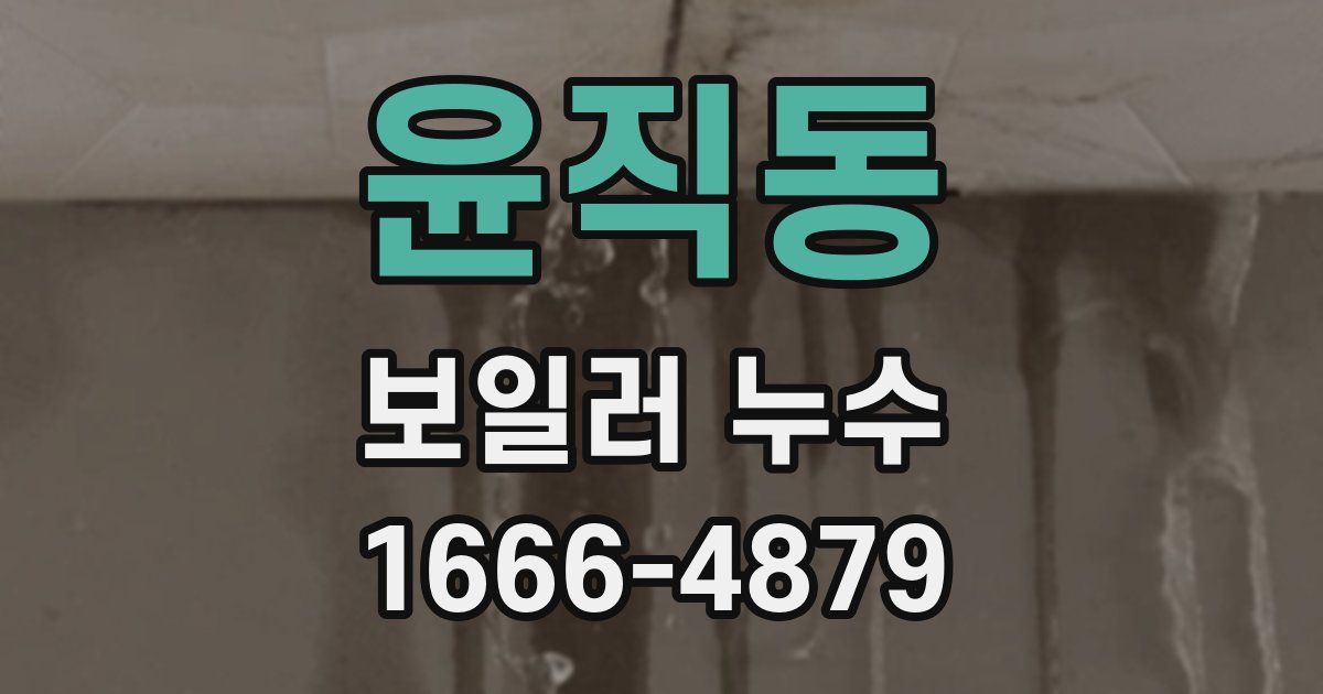 윤직동 보일러 누수