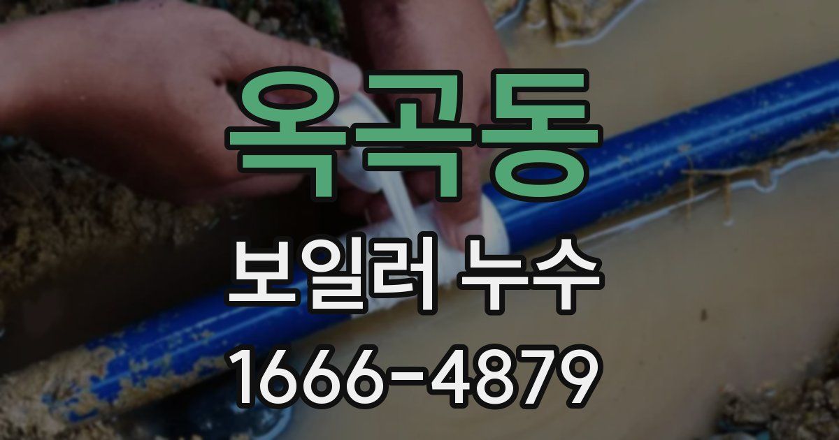 옥곡동 보일러 누수