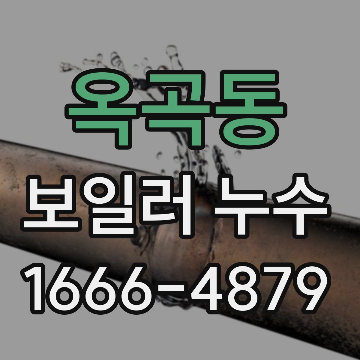 옥곡동 보일러 누수
