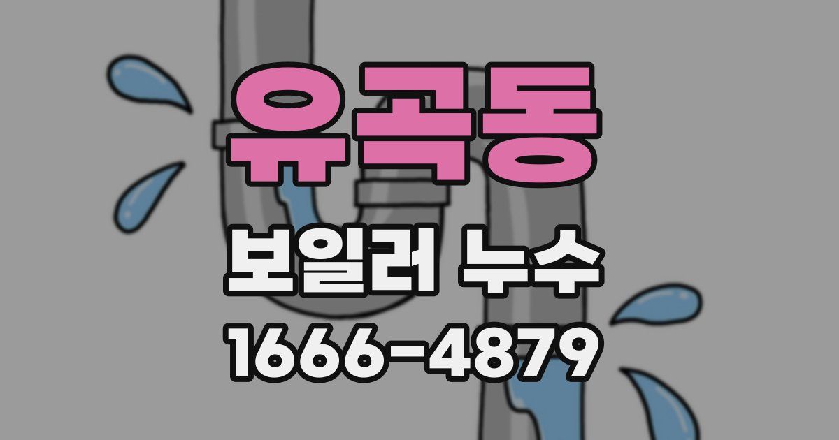 유곡동 보일러 누수