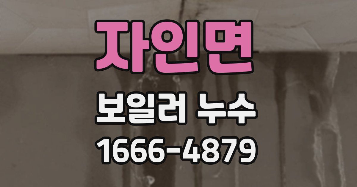 자인면 보일러 누수