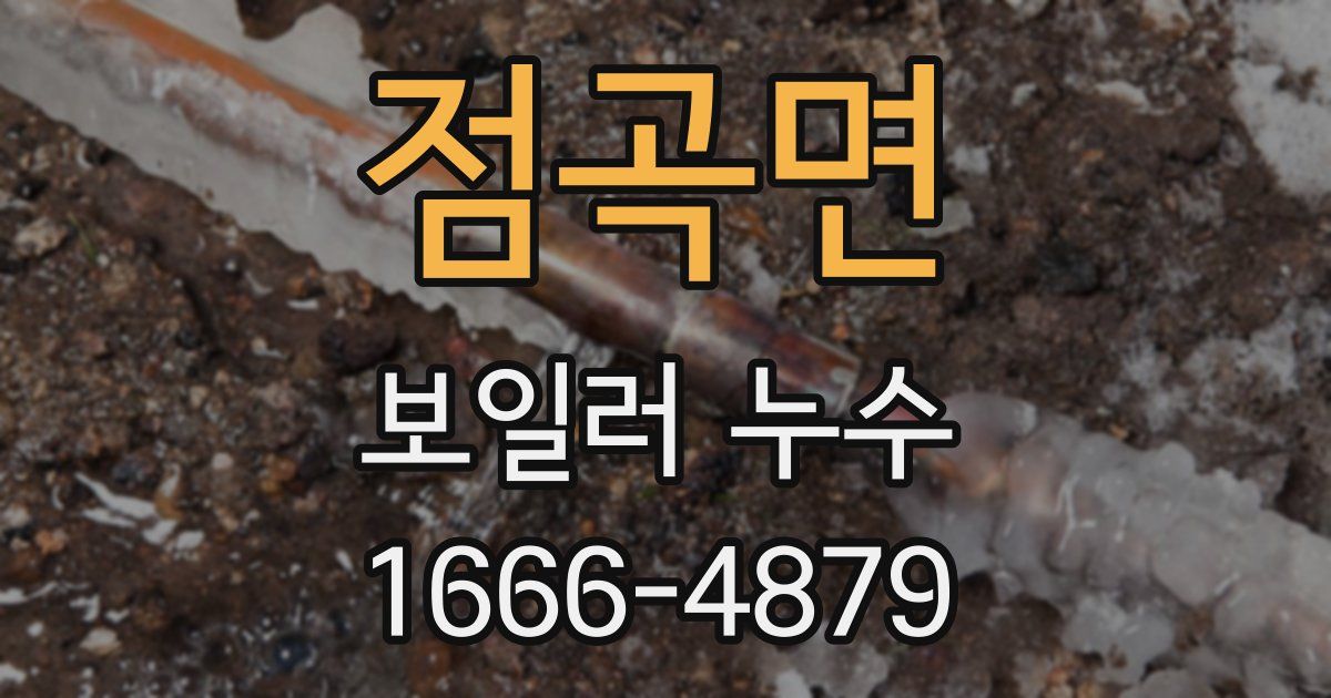 점곡면 보일러 누수