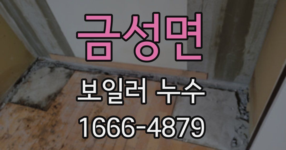 금성면 보일러 누수