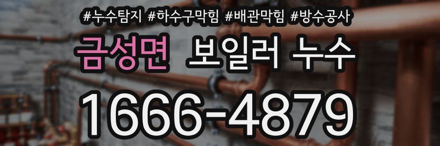 금성면 보일러 누수