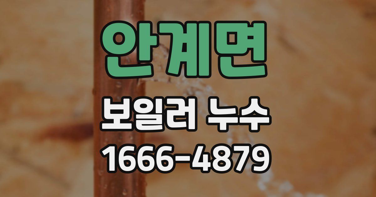 안계면 보일러 누수