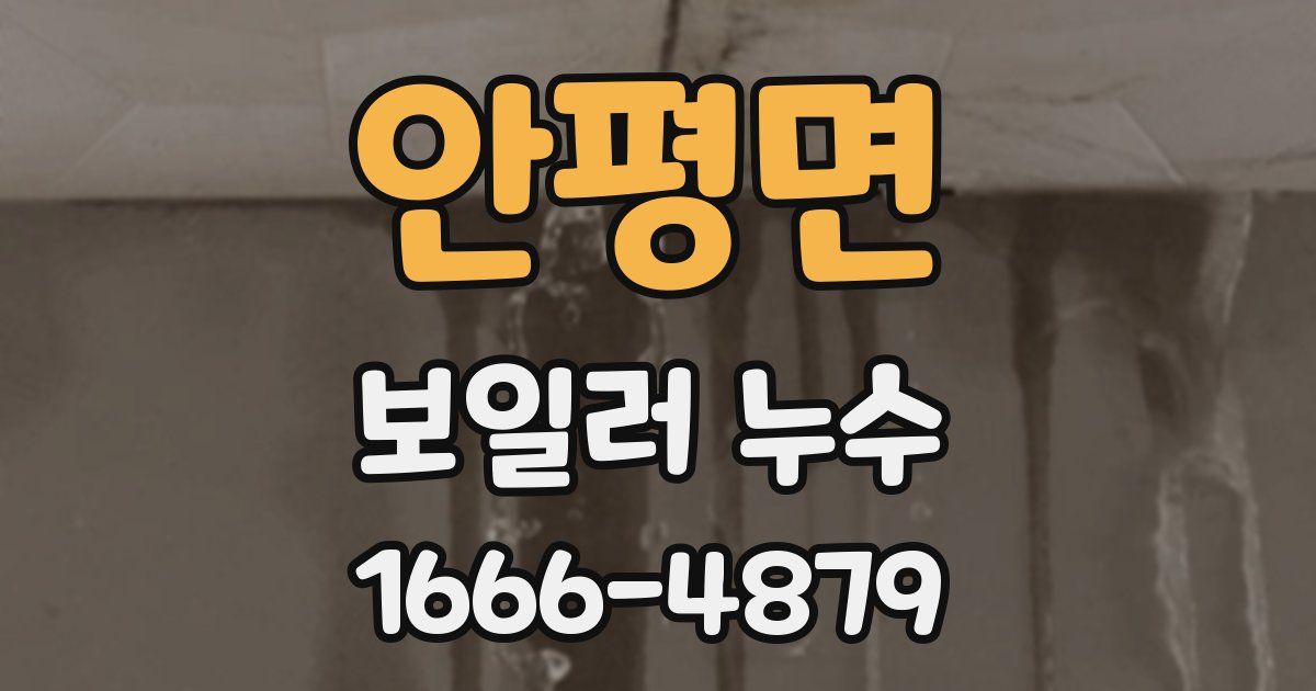 안평면 보일러 누수