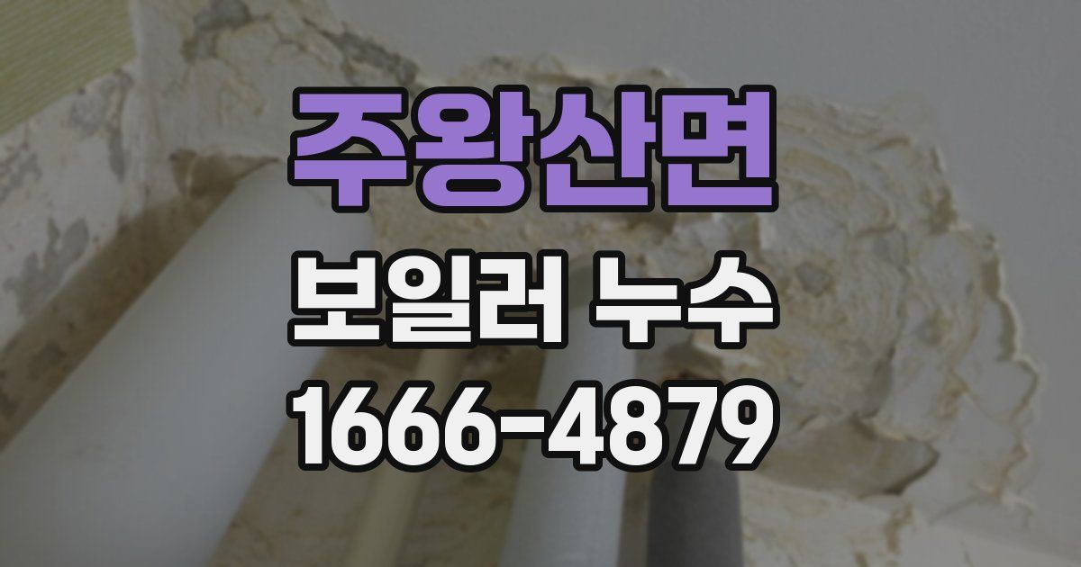 주왕산면 보일러 누수