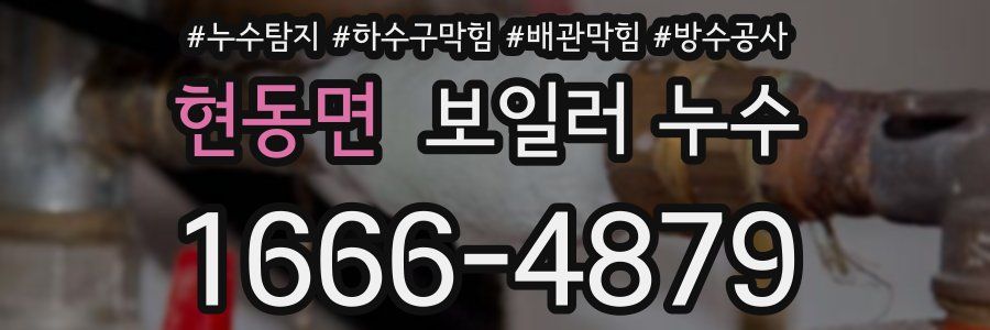 현동면 보일러 누수